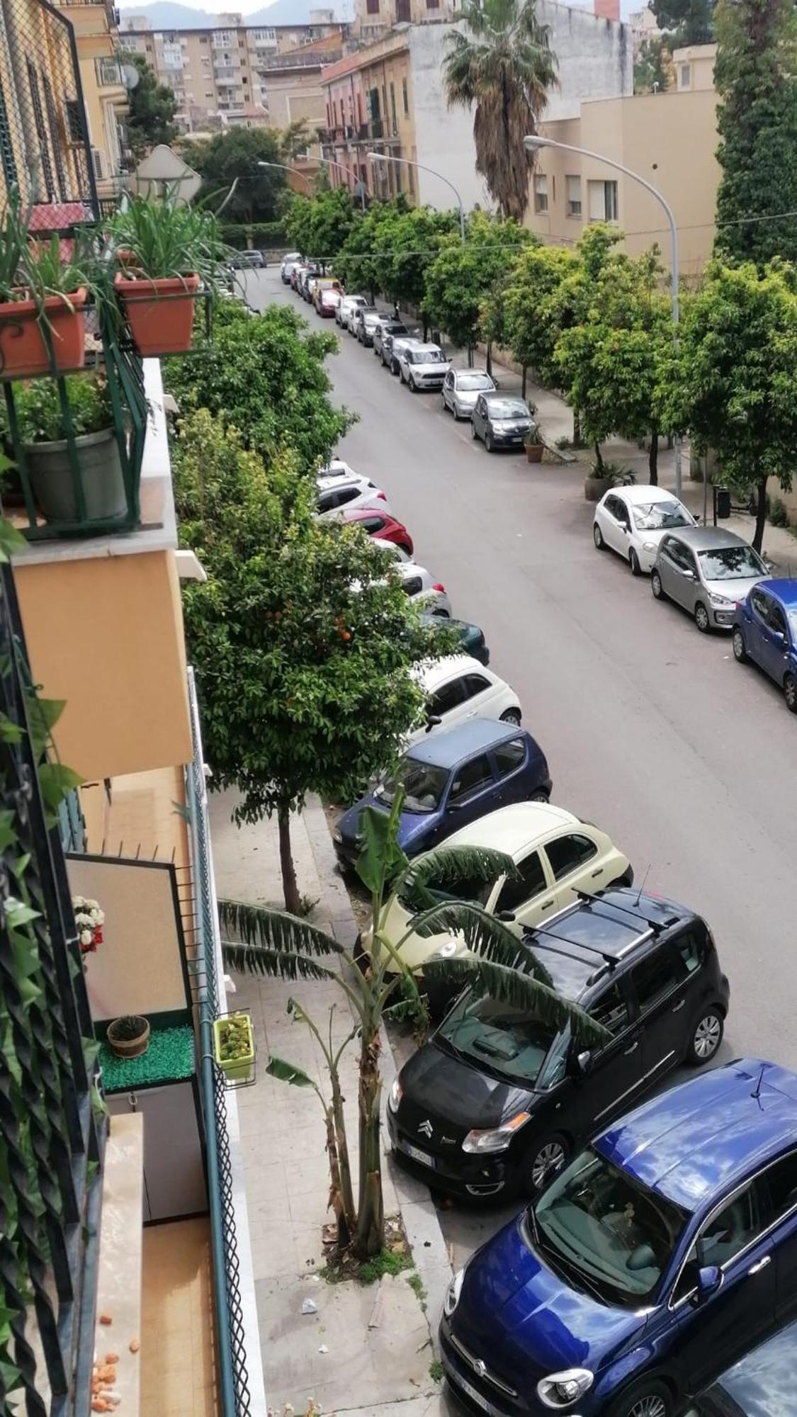 Biddizzi Apartment Палермо Екстериор снимка